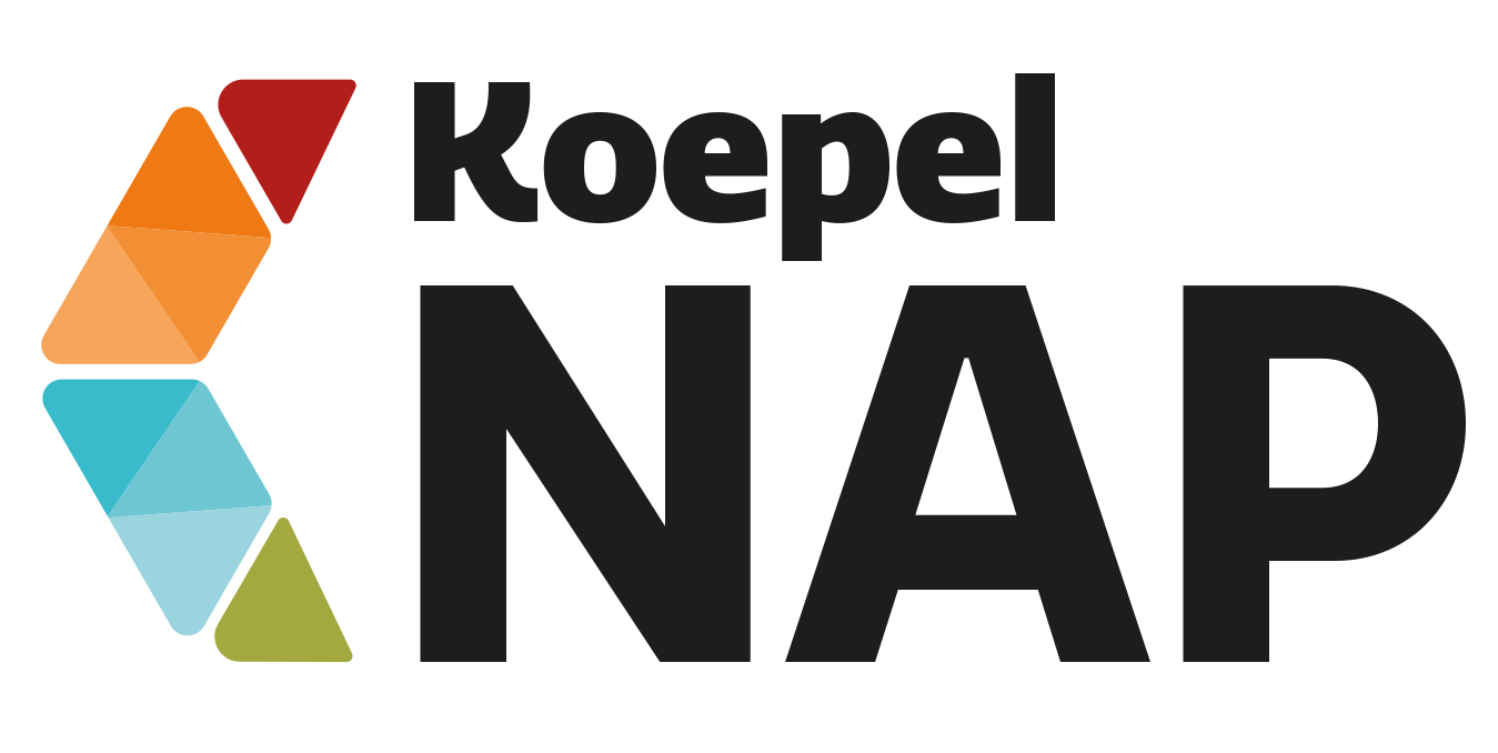 Logo NAP