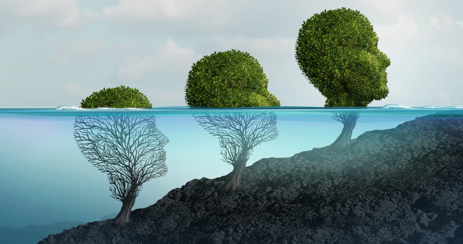 Slider background